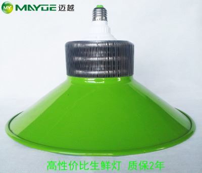 工礦燈/生鮮燈套件：專業(yè)豬肉燈外殼，提升生鮮展示照明效果